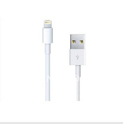 De Bonne Qualité Câble d'USB de foudre de l'iPhone 5 de Pin du blanc 8/foudre de l'iphone 5 au câble d'usb Ventes